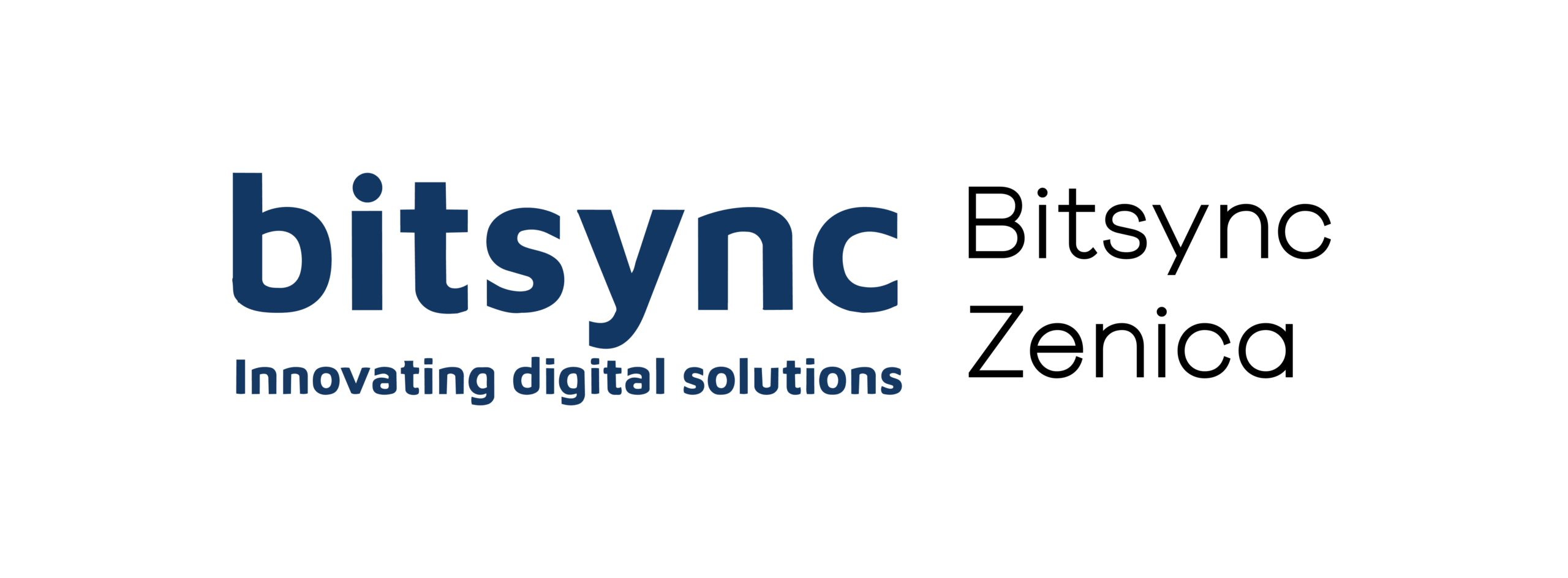 Bitsync Zenica